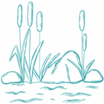 Relaks nad strumieniem